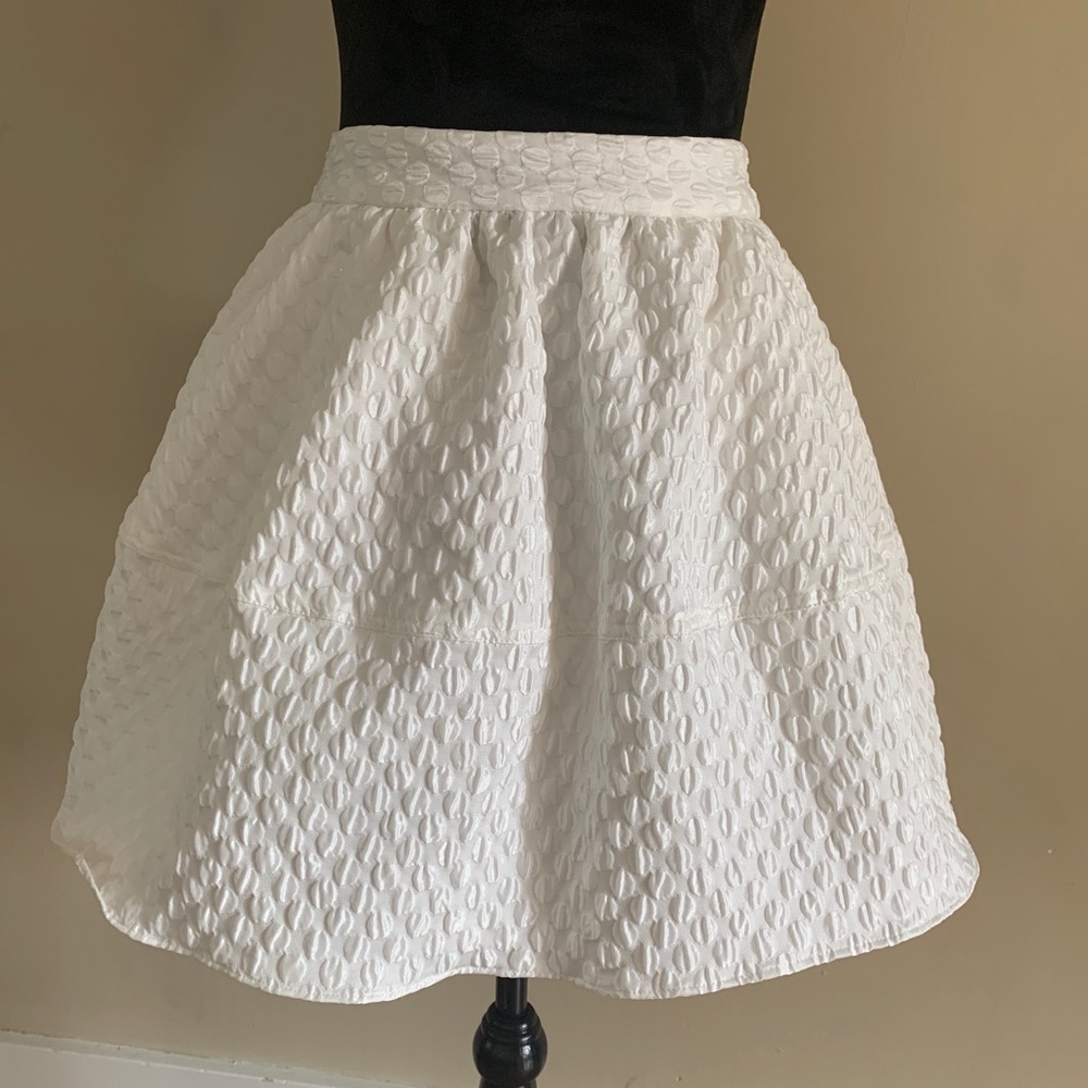 NWOT EXPRESS circular skirt